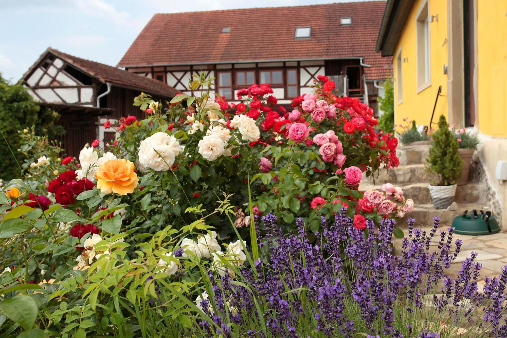 Studioapartment Mit Wohlfuehlcharakter Litzendorf Exterior foto